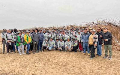 Pruning Season Begins at BMP